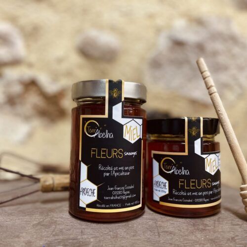Miel de fleurs Terr'Abelha